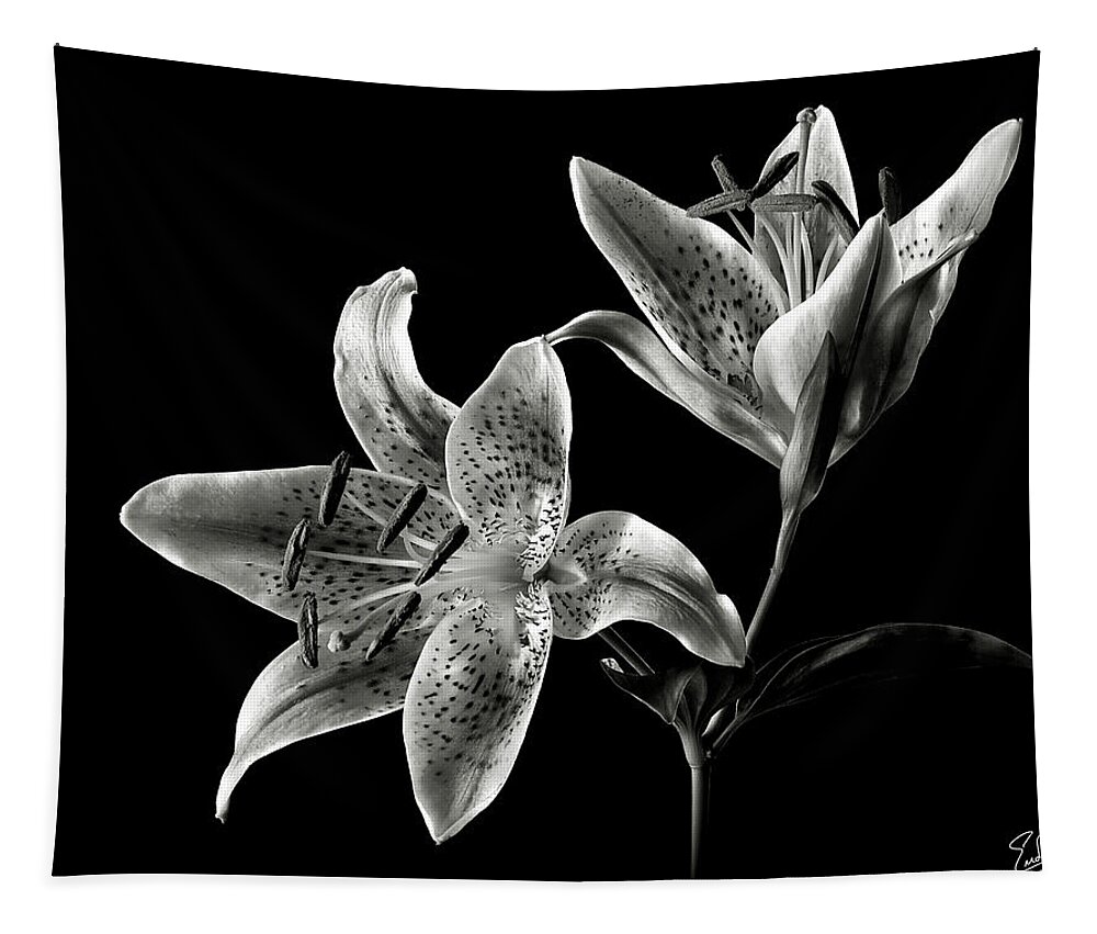 Flower Tapestry featuring the photograph Stargazer Lily in Black and White by Endre Balogh