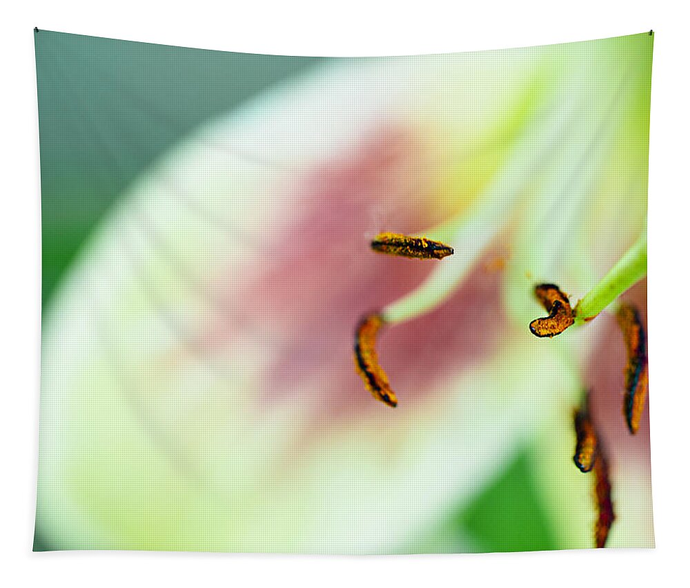 Wall Art Tapestry featuring the photograph Stargazer Lily by Marlo Horne