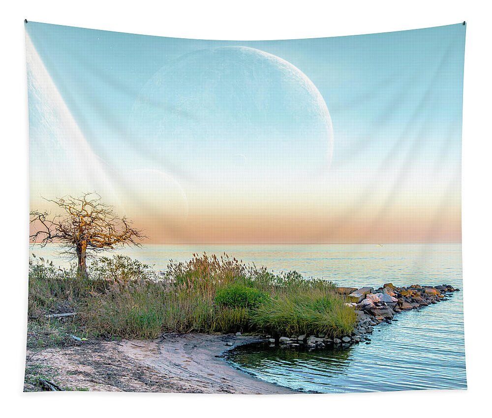 2d Tapestry featuring the photograph Starshine by Brian Wallace