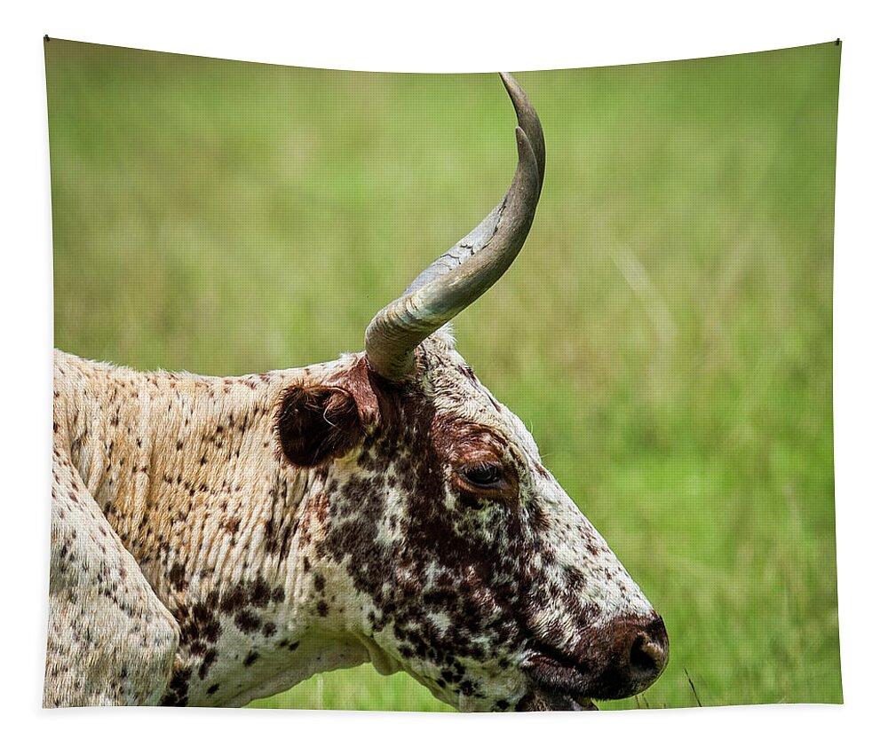 Long Horn Steer Tapestry featuring the photograph Steer Portrait by Paul Freidlund