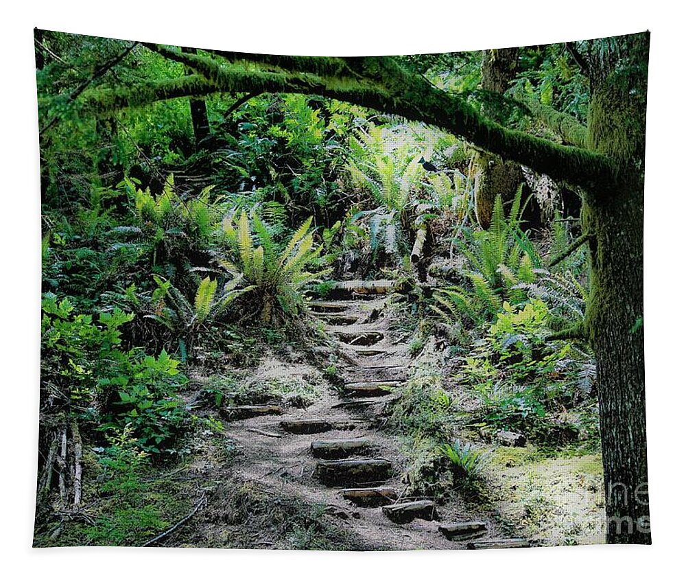 Coastal Forest Tapestry featuring the photograph Step on up by Merle Grenz