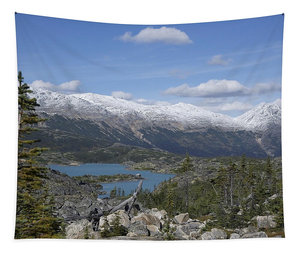 Stikine Mountains Tapestry featuring the photograph Stikine Mountains 14 by Richard J Cassato
