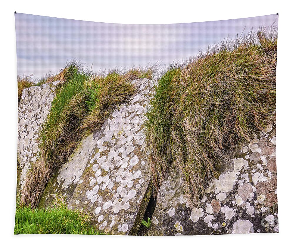 Ireland Rocks Series By Lexa Harpell Tapestry featuring the photograph Stone Fence Cliffs of Moher Ireland by Lexa Harpell