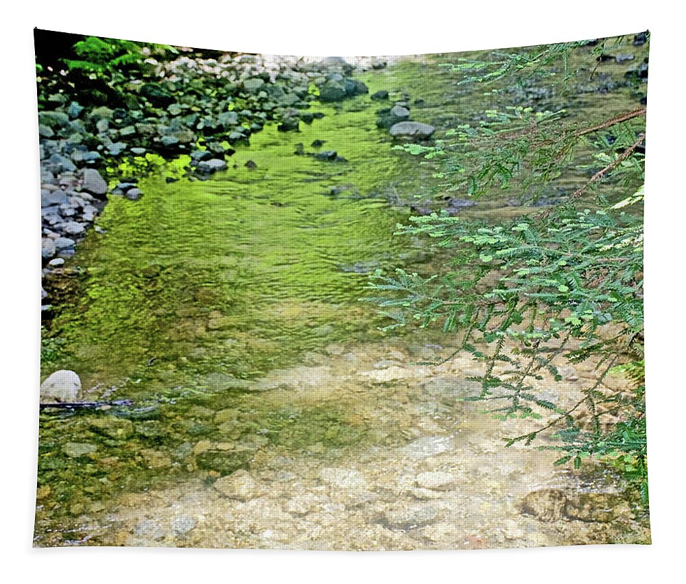 Stones And Low Branches Over Redwood Creek In Muir Woods National Monument Tapestry featuring the photograph Stones and Low Branches over Redwood Creek in Muir Woods National Monument, California by Ruth Hager