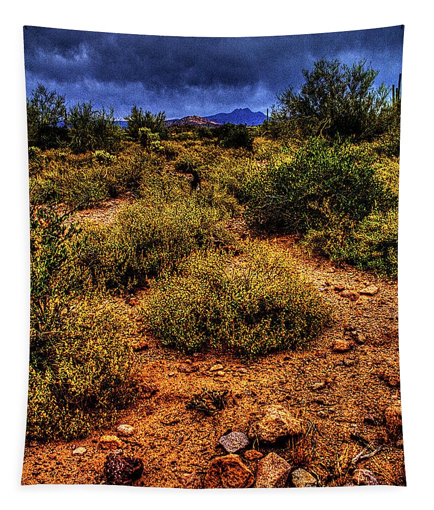 Arizona Tapestry featuring the photograph Storm Clouds over the Sonoran Desert in Spring by Roger Passman