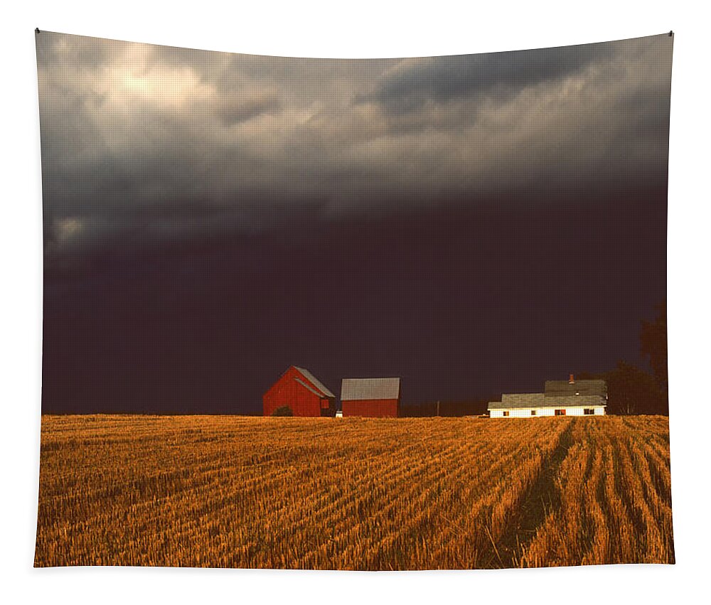 Field Tapestry featuring the photograph Storm Light At Great Village by Irwin Barrett