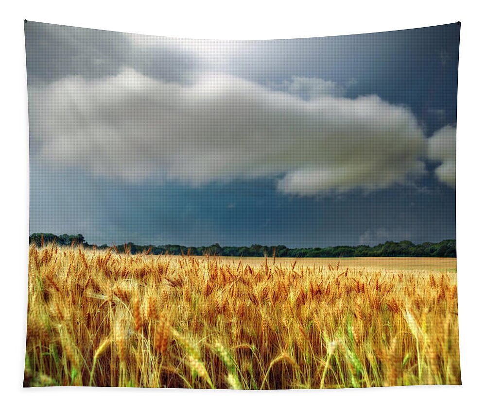 Landscape Tapestry featuring the photograph Storm Over Ripening Wheat by Eric Benjamin