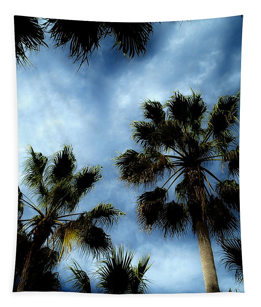 Palm Tapestry featuring the photograph Stormy Palms 2 by David Smith