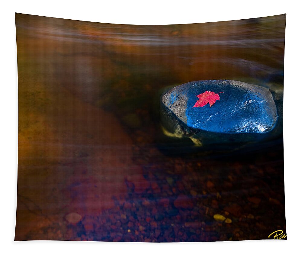 Autumn Tapestry featuring the photograph Stranded Leaf by Rikk Flohr