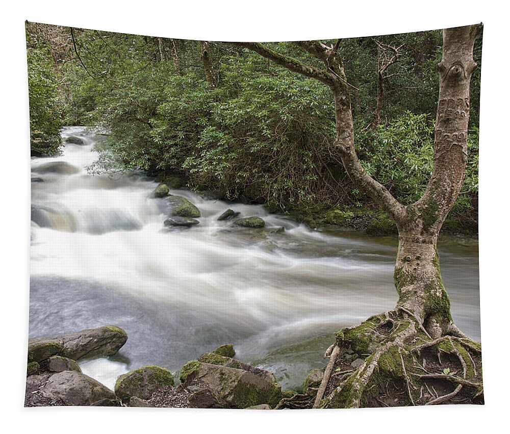 Original Tapestry featuring the photograph Stream below Torc Waterfall Killarney National Park by WAZgriffin Digital