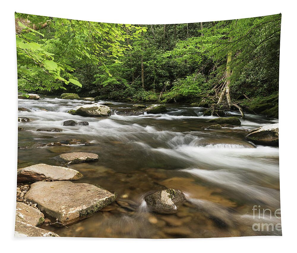 Water Tapestry featuring the photograph Stream in the Smokies by Nicki McManus