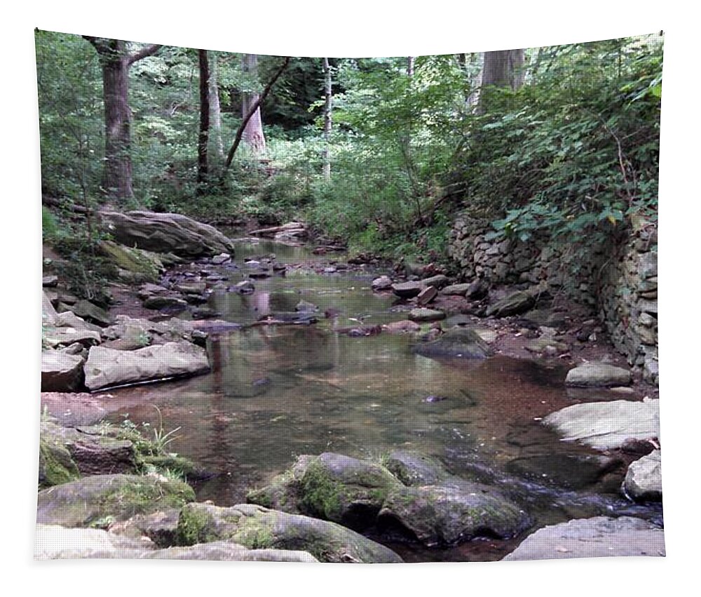 Stream Tapestry featuring the photograph Stream Ponderings by Allen Nice-Webb