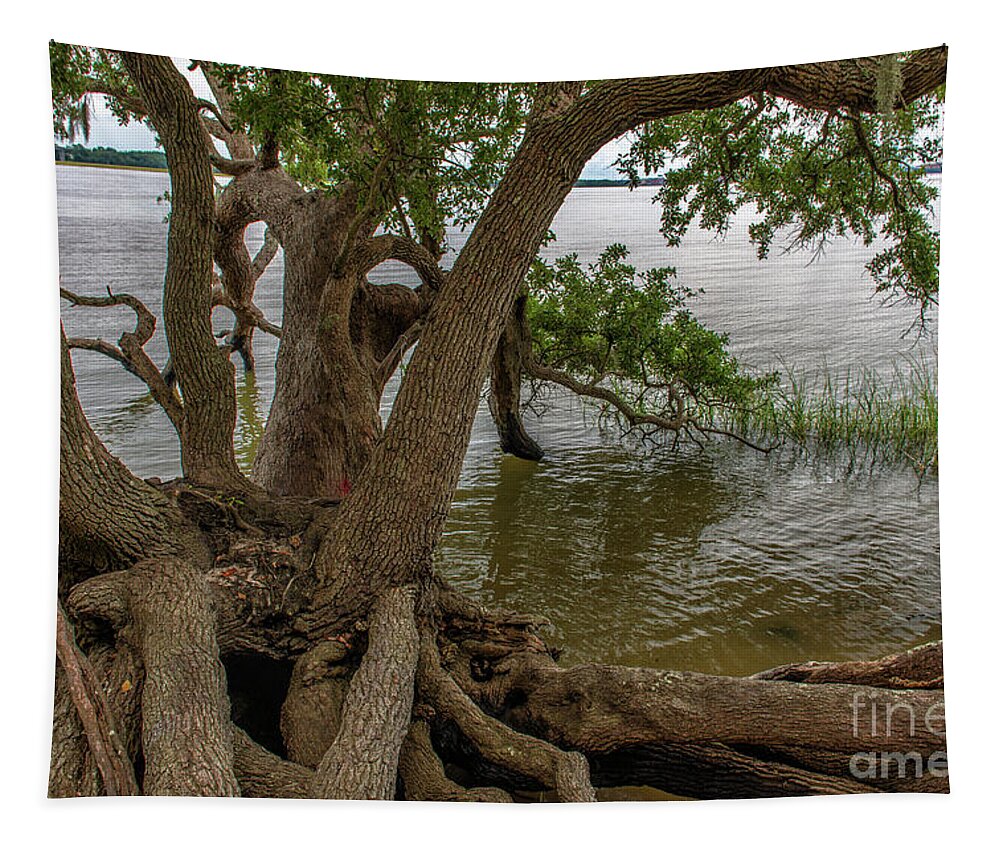 Love Oak Tree Tapestry featuring the photograph Streching Your Limbs over the Water by Dale Powell