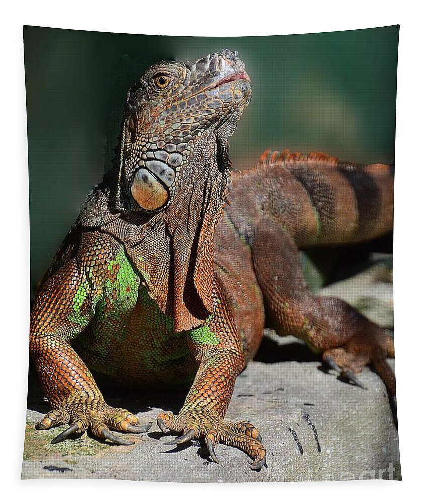 Iguana Tapestry featuring the photograph Strike a Pose by Cindy Manero