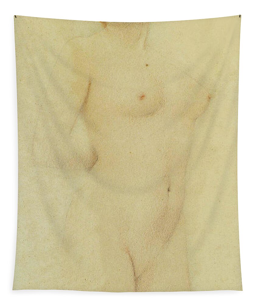 Fernand Khnopff Tapestry featuring the drawing Study Nude by Fernand Khnopff