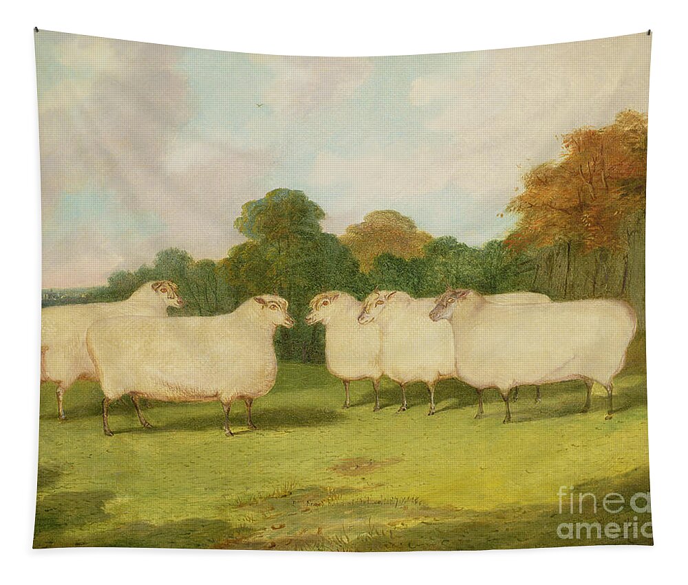Study Tapestry featuring the painting Study of Sheep in a Landscape  by Richard Whitford