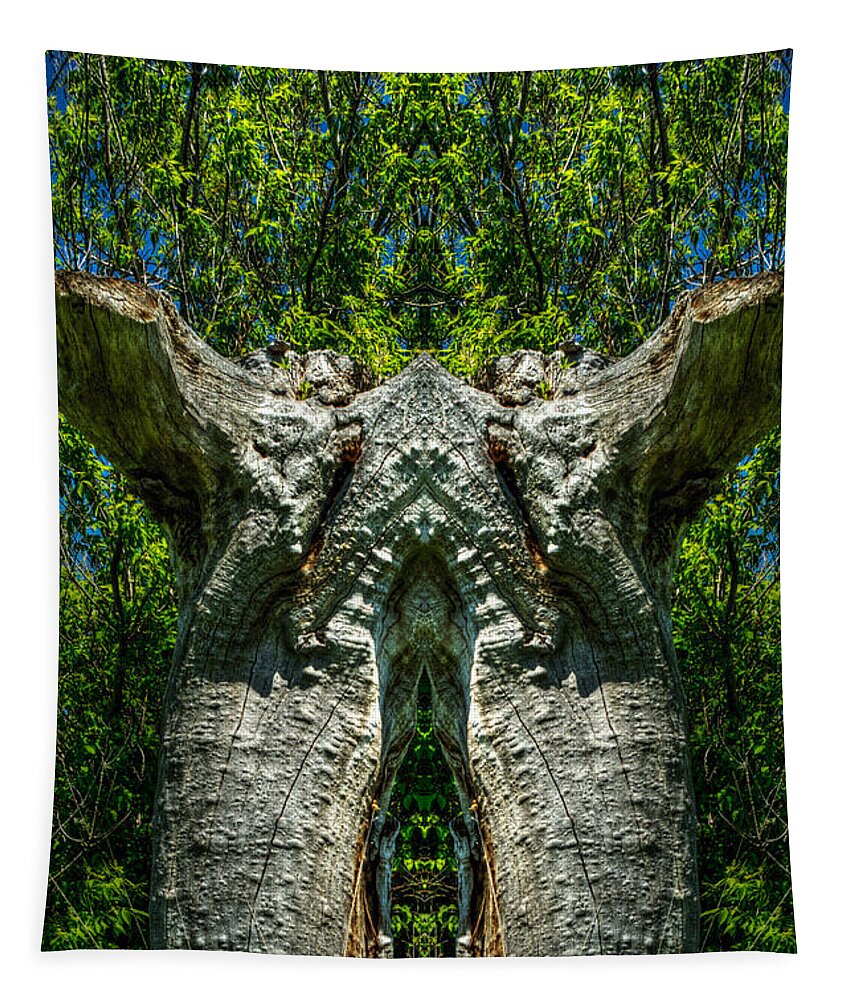 Abstract Tapestry featuring the photograph Stumped by Roger Monahan