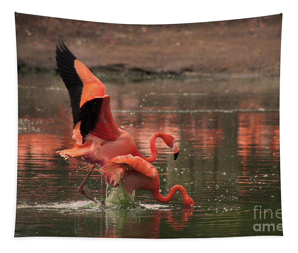 Flamingo Tapestry featuring the photograph Stunning Pink Flamingo's by Doc Braham