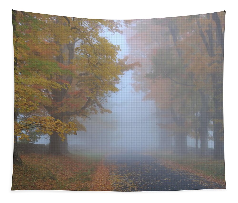 Sugar Maple Tapestry featuring the photograph Sugar Maples on a Misty Country Road by John Burk