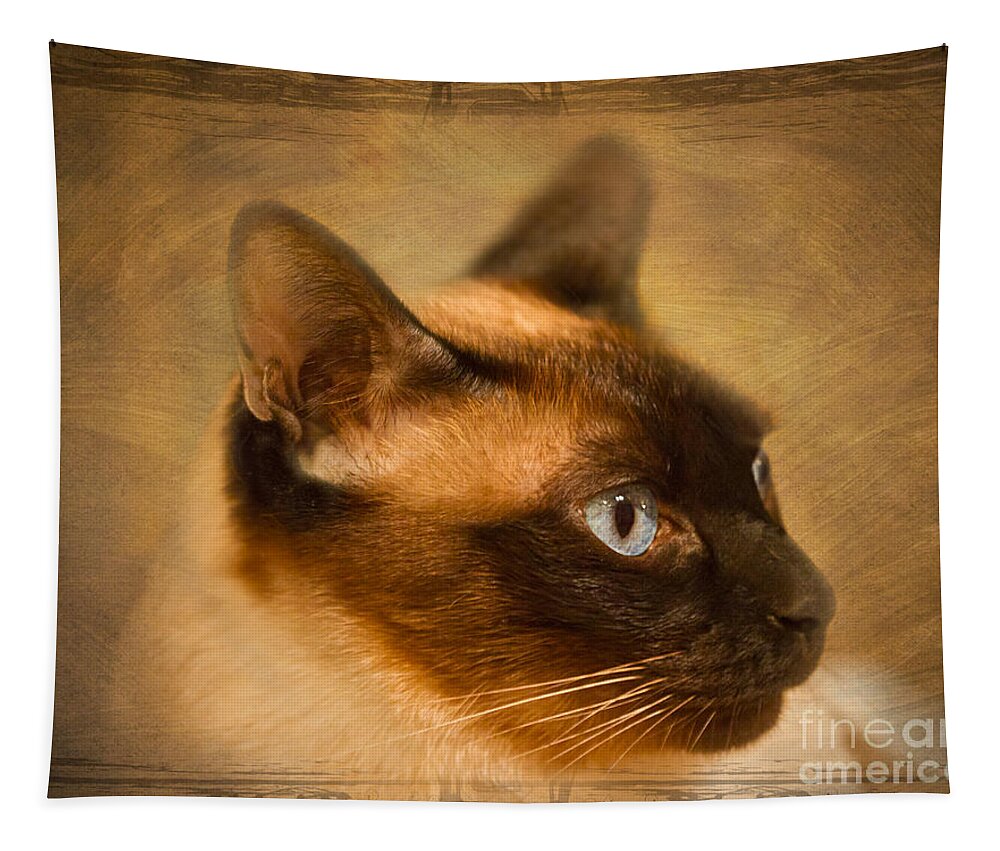 Siamese Tapestry featuring the photograph SUKI a beautiful Siamese Cat by Louise Heusinkveld