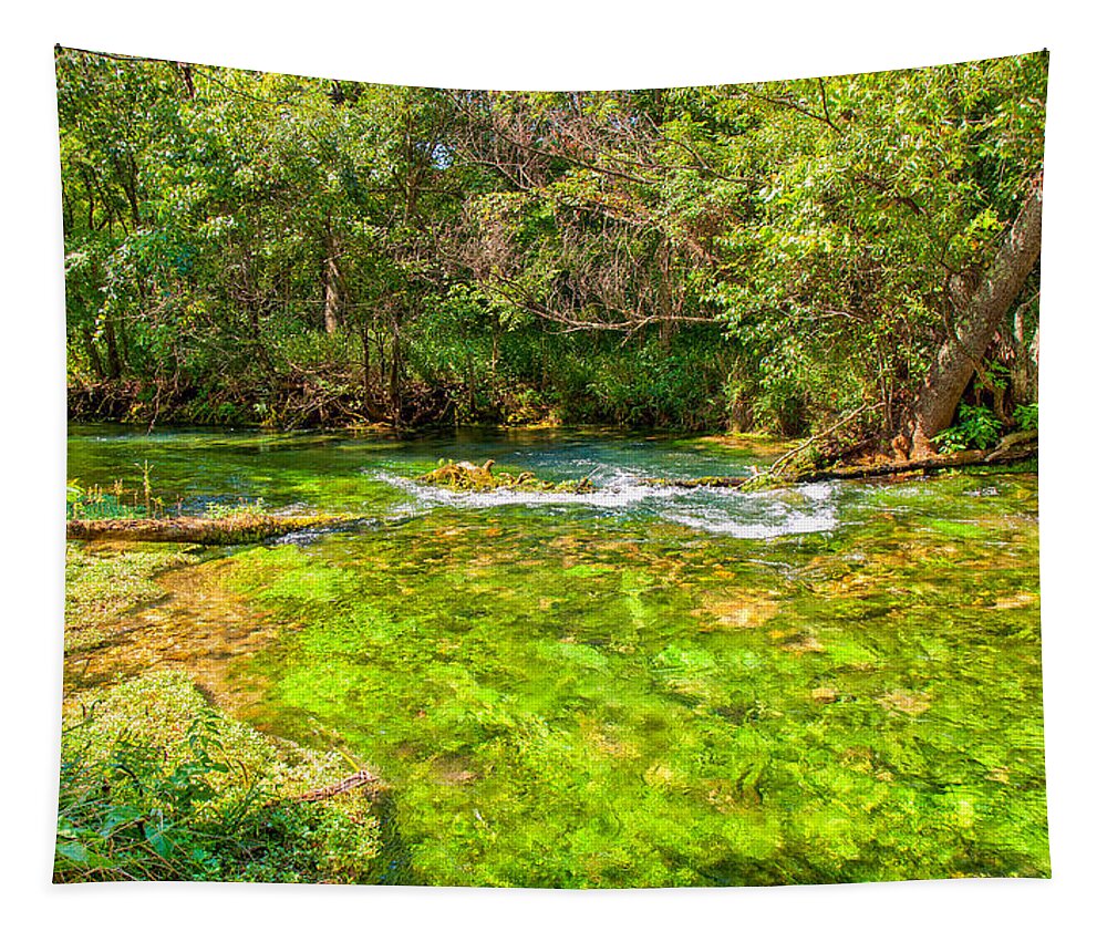 Bailey Tapestry featuring the photograph Summer at Alley Springs by John M Bailey