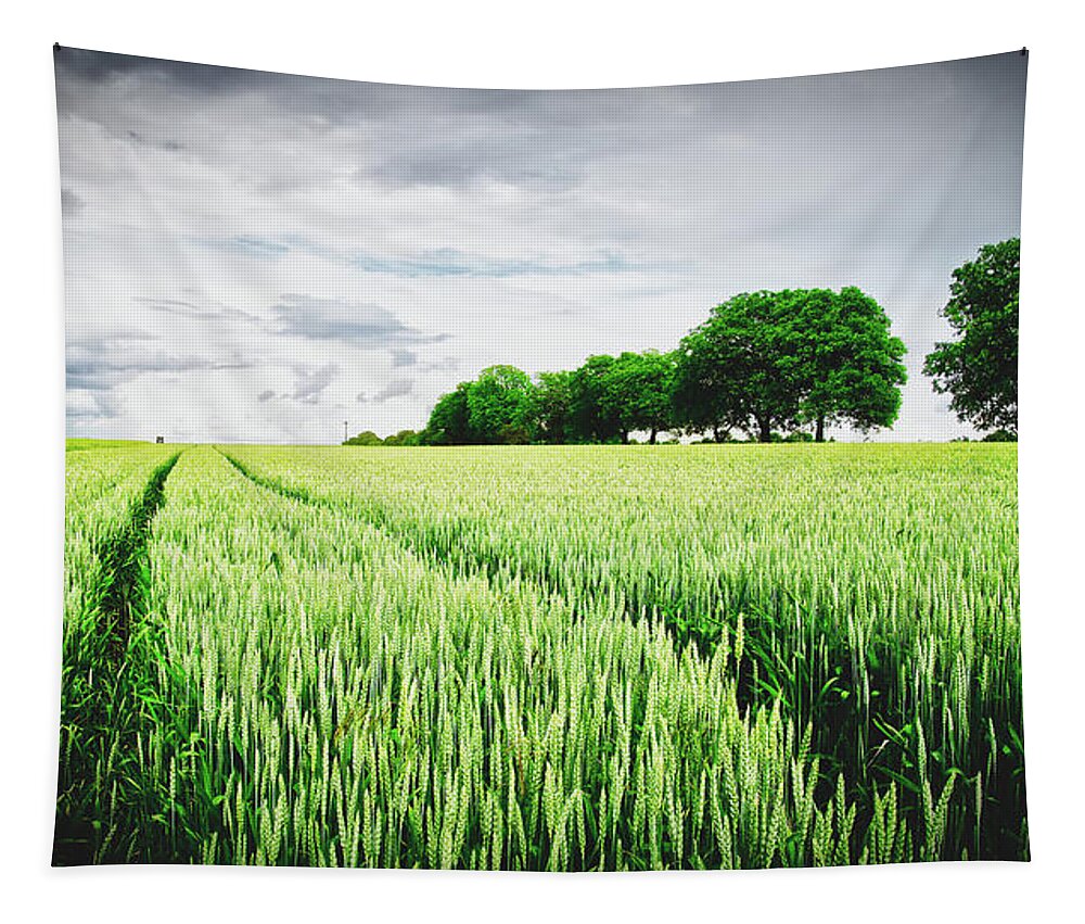Field Tapestry featuring the photograph Summer Grains by Mountain Dreams