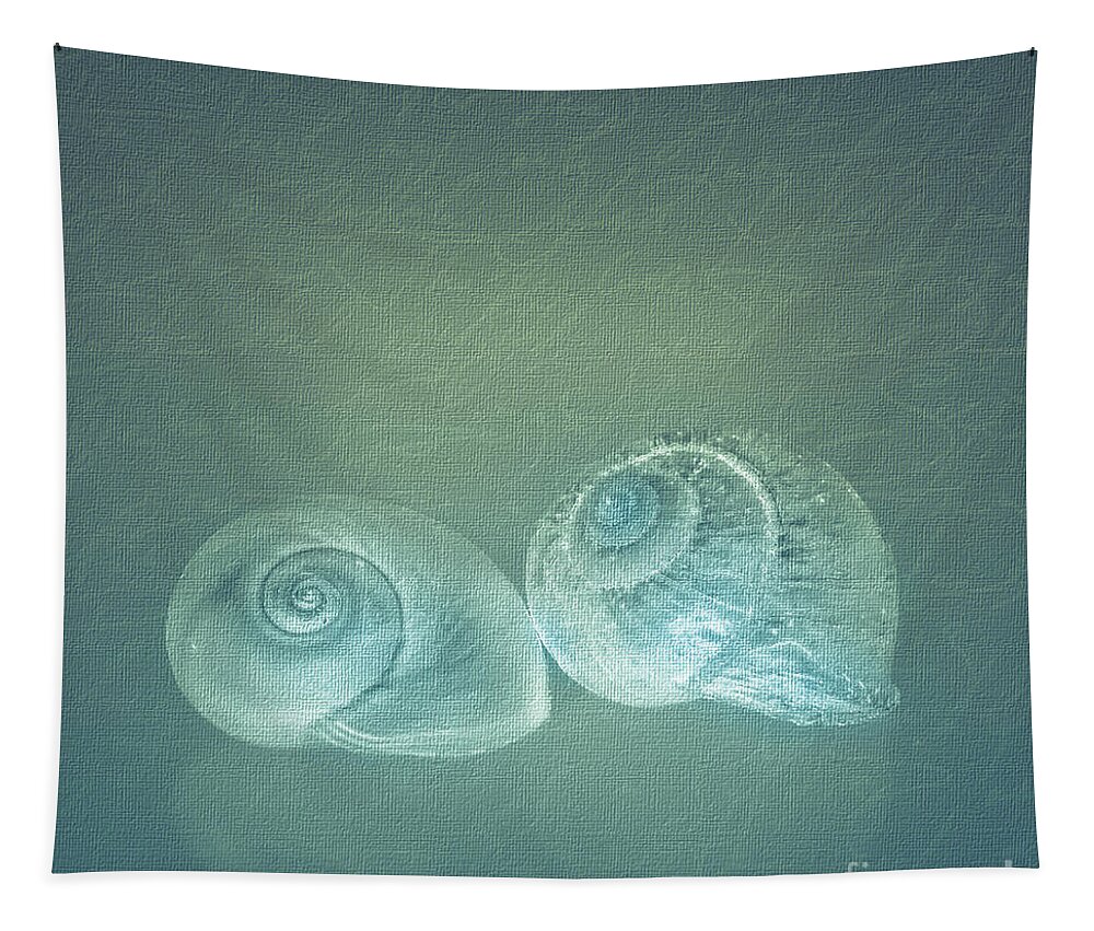 Mona Stut Tapestry featuring the digital art Two Seashell Reflections by Mona Stut