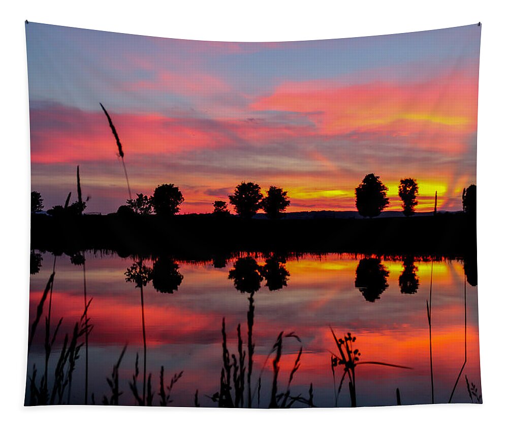 Landscape Tapestry featuring the photograph Summer Sunset with Moon by Tim Kirchoff