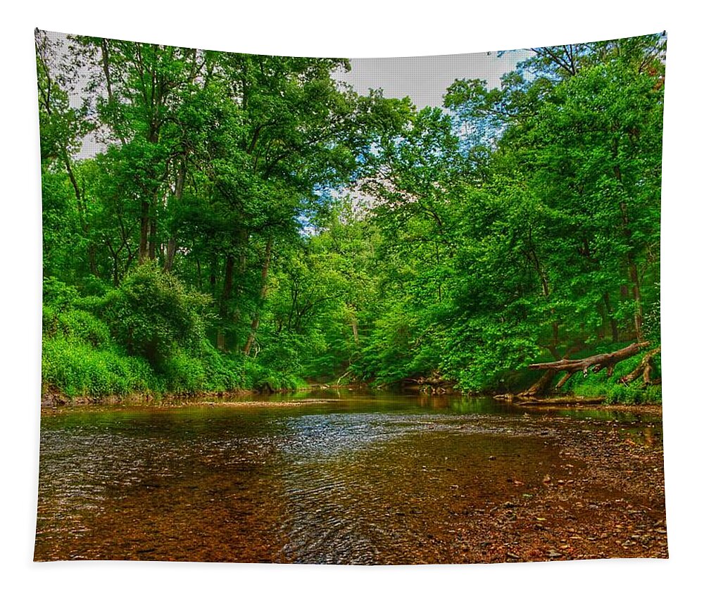 Perspective Tapestry featuring the photograph SummerBreeze III by Kathi Isserman