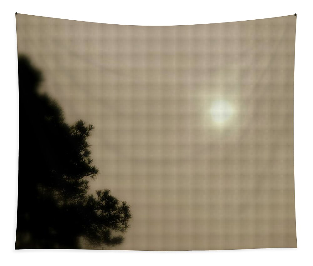 Fog Tapestry featuring the photograph Sun Battles Fog by Kathy Barney