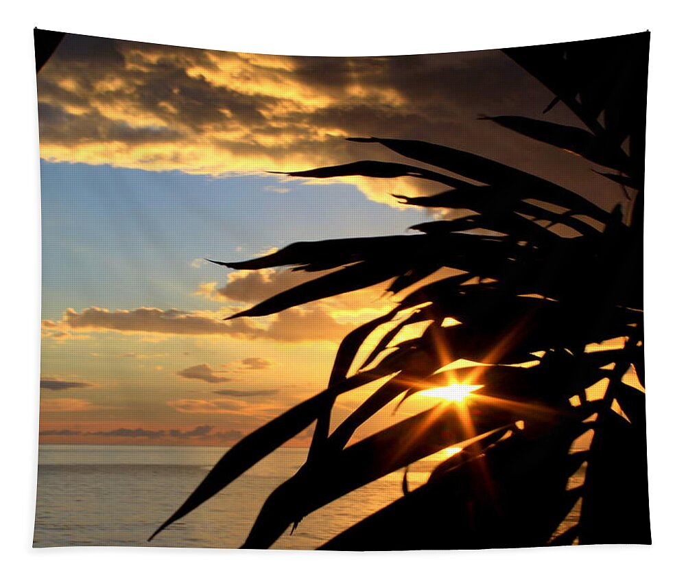 Sunset Tapestry featuring the photograph Sun Burst by Fiona Kennard