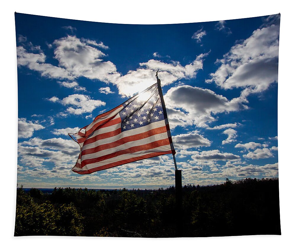 Flag Tapestry featuring the photograph Sun kissed Flag by Brian MacLean