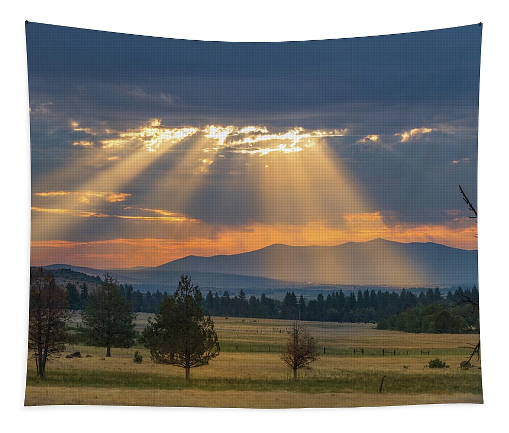 Landscape Tapestry featuring the photograph Sun Rays In the Valley by Randy Robbins