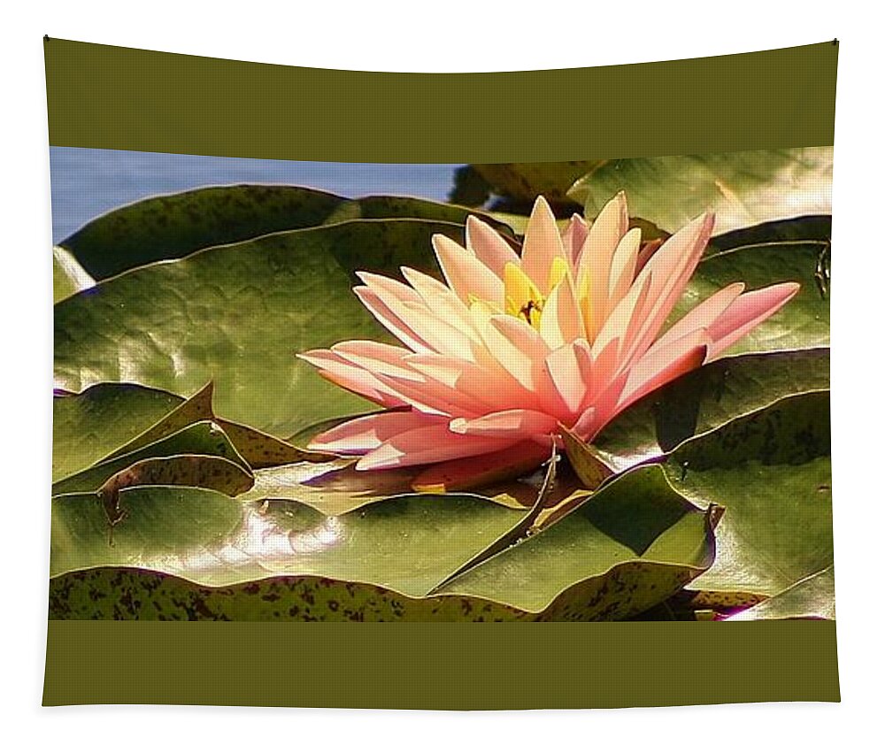Water Lily Tapestry featuring the photograph Sunbathing on the Pond by Bruce Bley