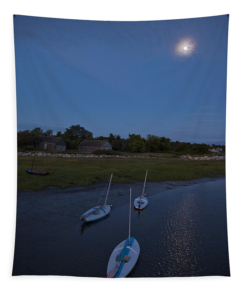Sunfish Tapestry featuring the photograph Sunfishes in Moonlight by Charles Harden