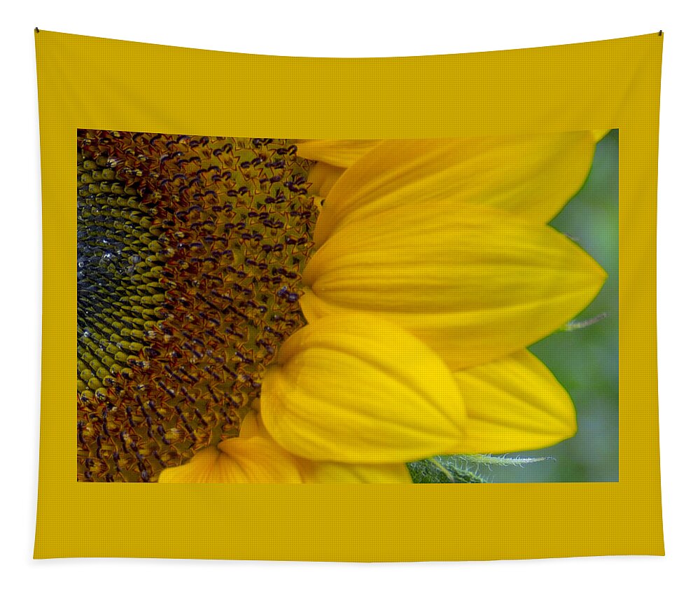 Flower Tapestry featuring the photograph Sunflower Closeup by Allen Nice-Webb
