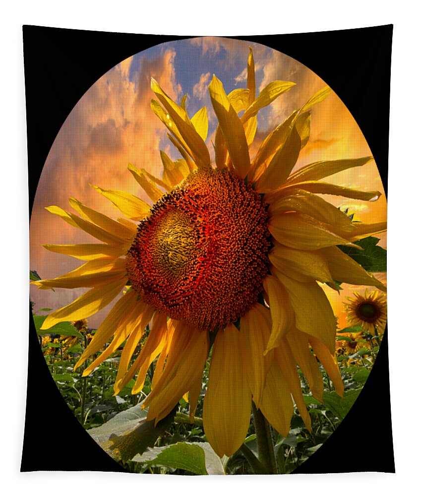 Sunflower Tapestry featuring the photograph Sunflower Dawn in Oval by Debra and Dave Vanderlaan
