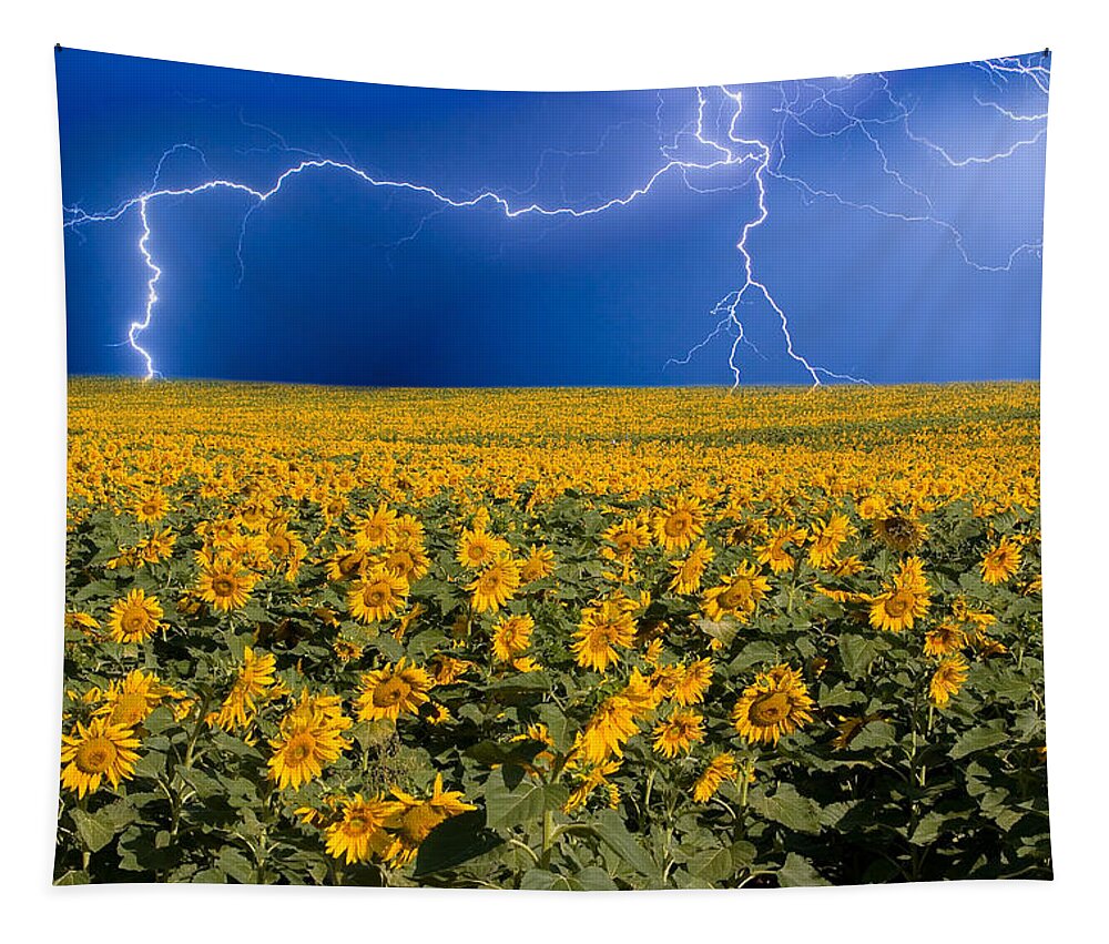 Sunflowers Tapestry featuring the photograph Sunflower Lightning Field by James BO Insogna