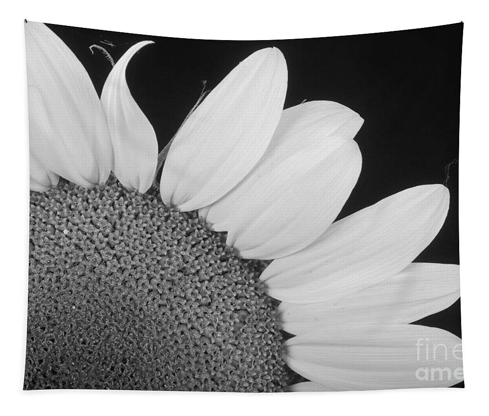 Sunflowers Tapestry featuring the photograph Sunflower Three Quarter by James BO Insogna