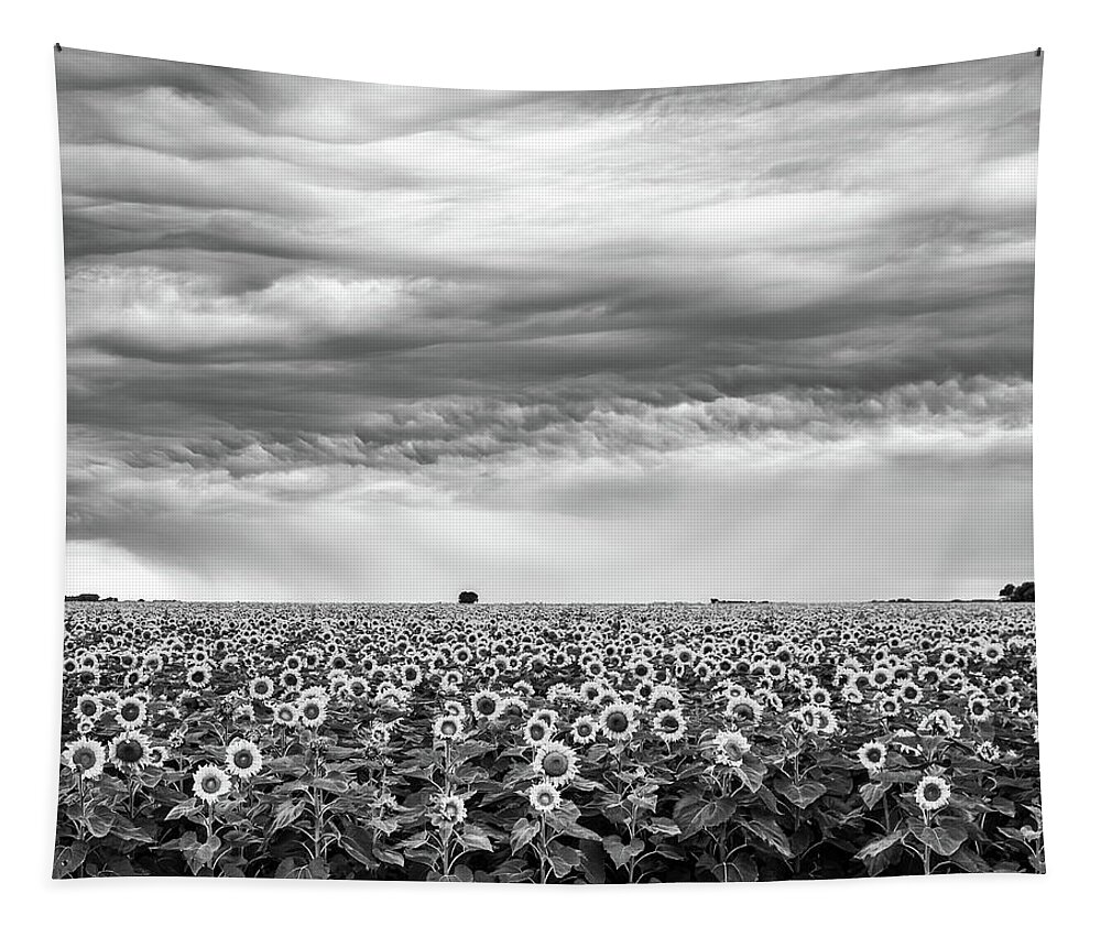 Landscapes Tapestry featuring the photograph Sunflowers and Rain Showers by Penny Meyers