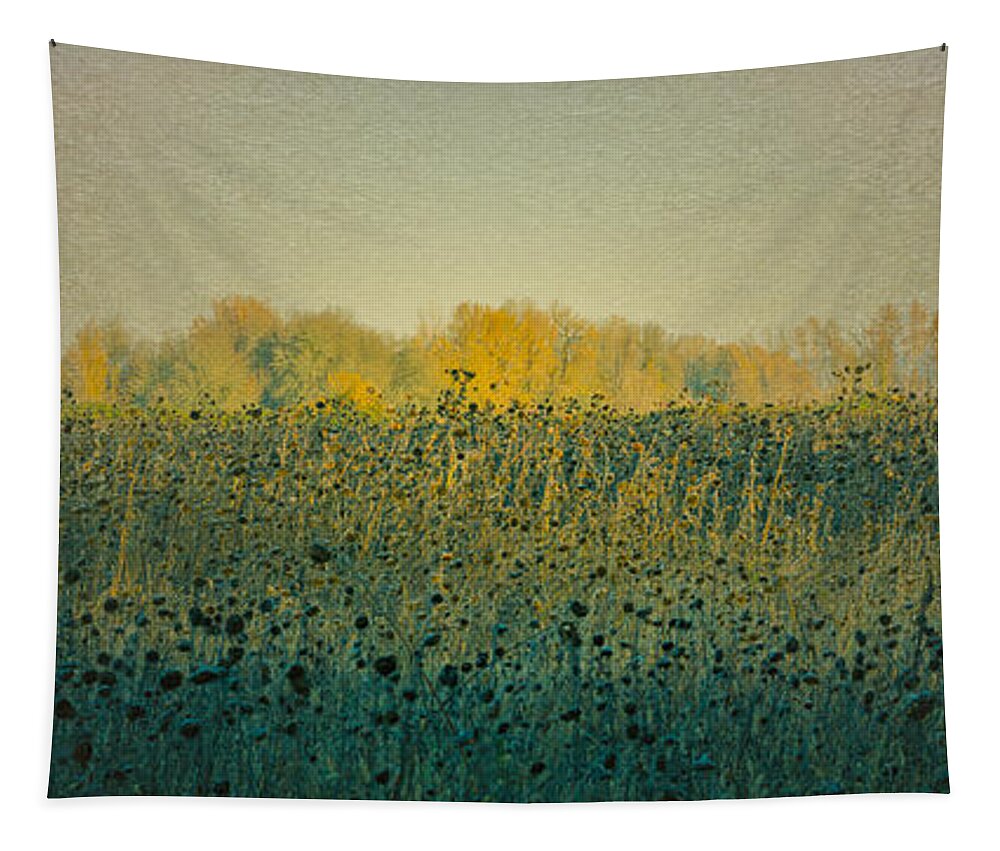 Barn Tapestry featuring the photograph Sunflowers and the Barn by Don Schwartz