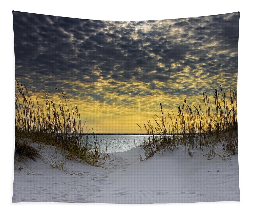 Coast Tapestry featuring the photograph Sunlit Passage by Janet Fikar