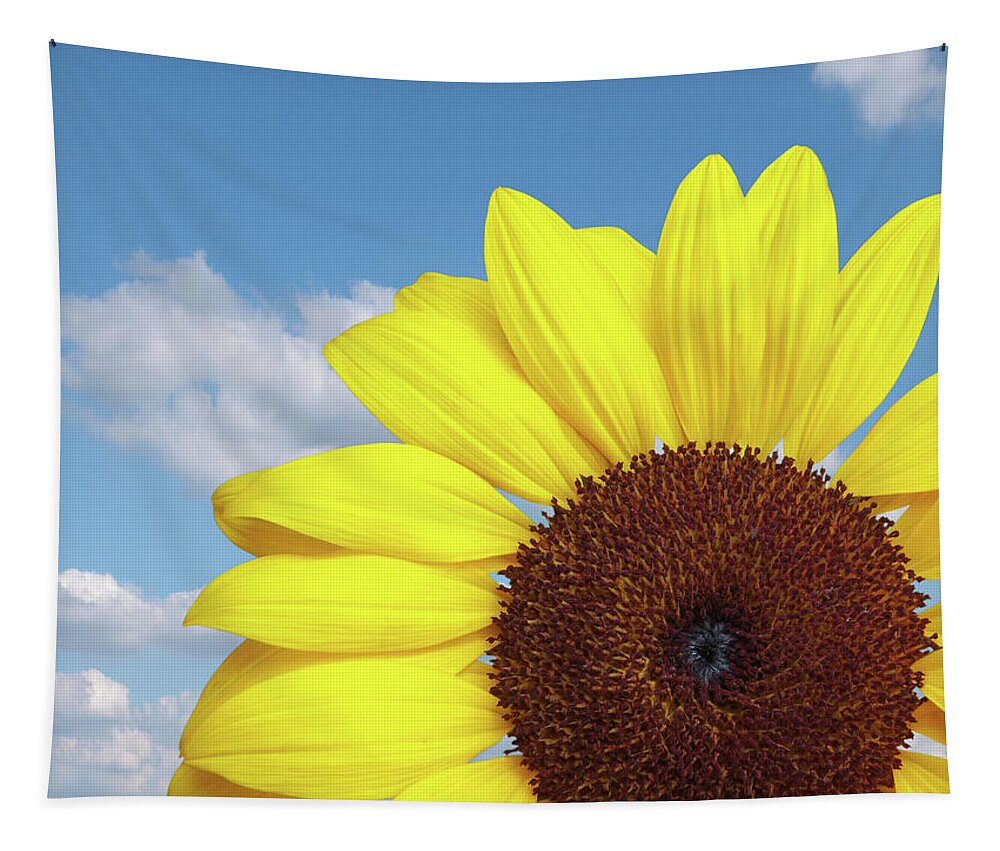 Sunflower Tapestry featuring the photograph Sunlover by Gill Billington