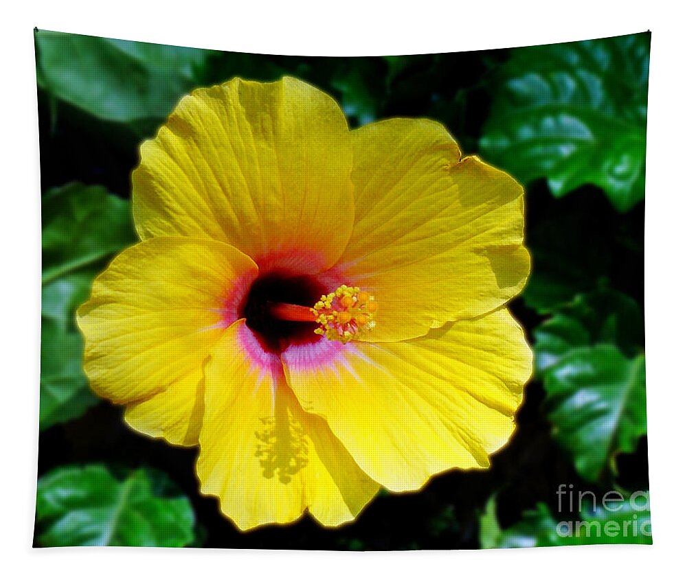 Hibiscus Tapestry featuring the photograph Sunny Yellow Hibiscus by Sue Melvin