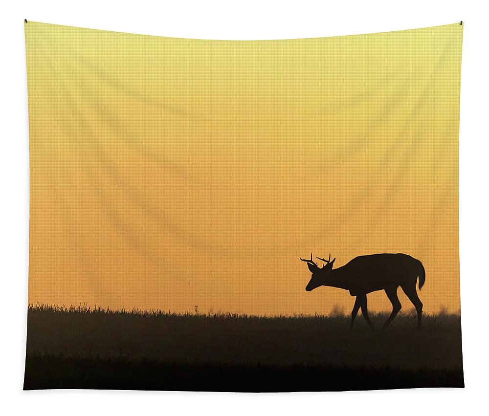 Silhouette Tapestry featuring the photograph Sunrise Deer by Bill Wakeley
