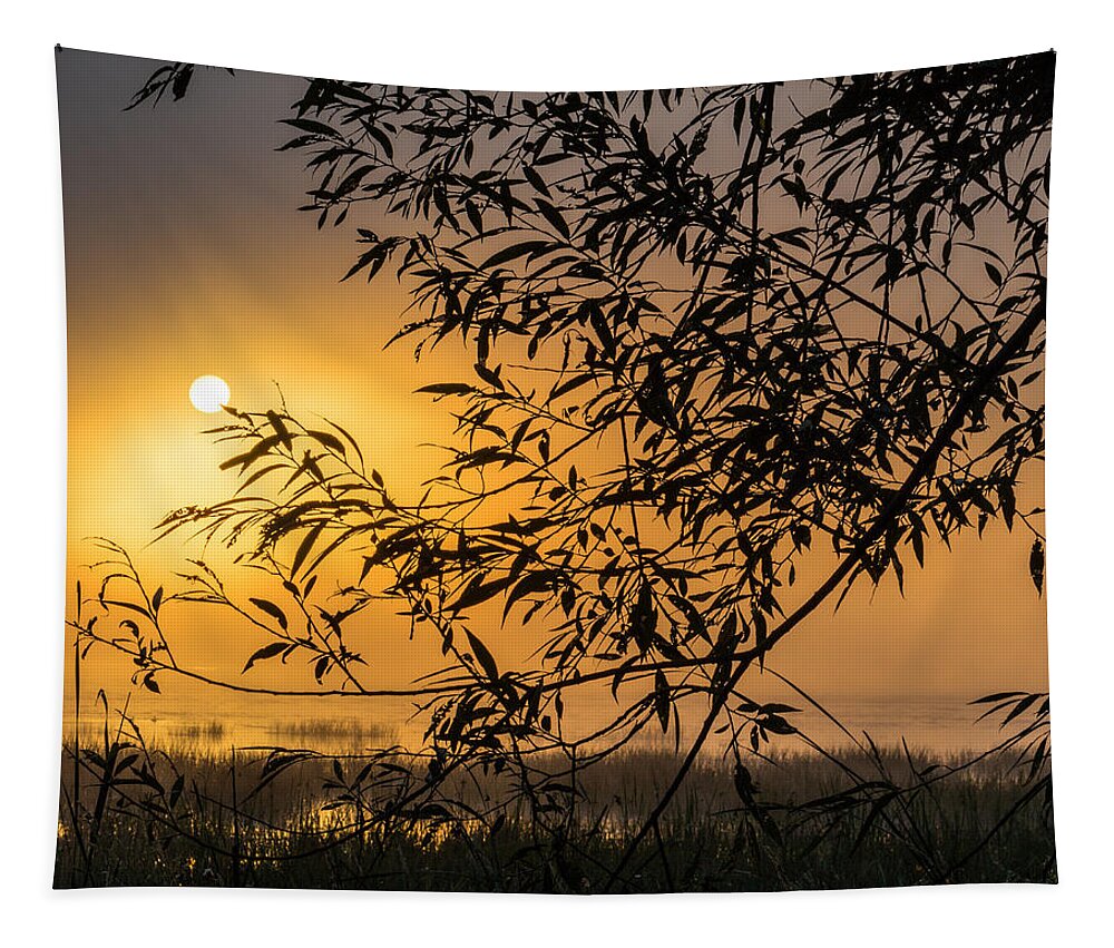 Sun Tapestry featuring the photograph Sunrise Fog by Marc Champagne