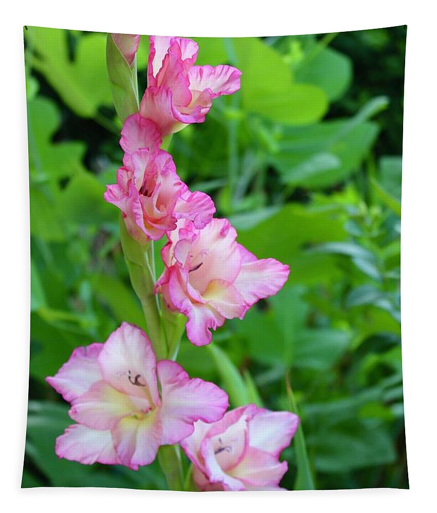 Photograph Tapestry featuring the photograph Sunrise Gladiolas Flores by M E