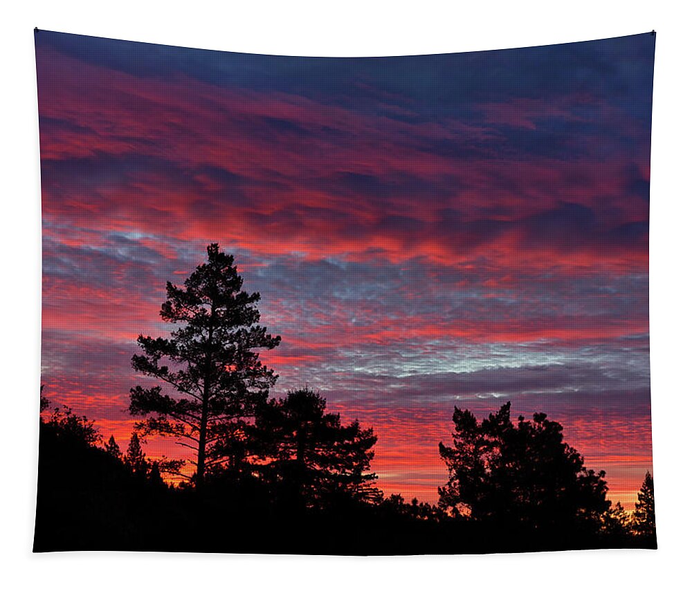 Sunrise Tapestry featuring the photograph Sunrise in Anchor Bay by Kathleen Bishop