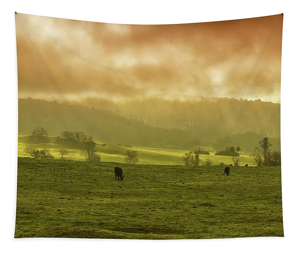 Sunrise In Foggy Pasture Tapestry featuring the photograph Sunrise In Foggy Pasture by Frank Wilson