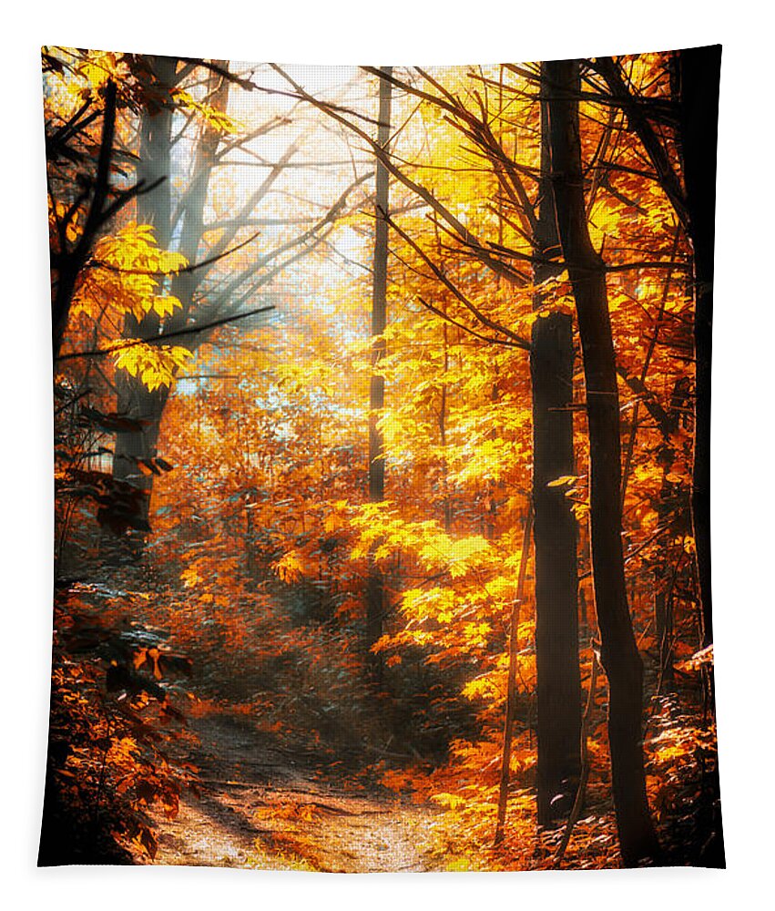 Woods Tapestry featuring the photograph Sunrise Mist Through The Trees by Bob Orsillo